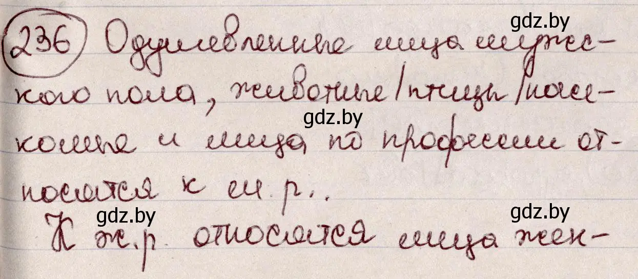 Решение номер 236 (страница 113) гдз по русскому языку 6 класс Мурина, Игнатович, учебник