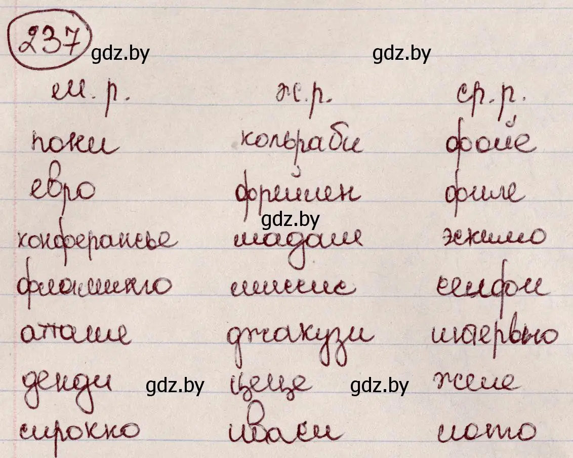 Решение номер 237 (страница 114) гдз по русскому языку 6 класс Мурина, Игнатович, учебник