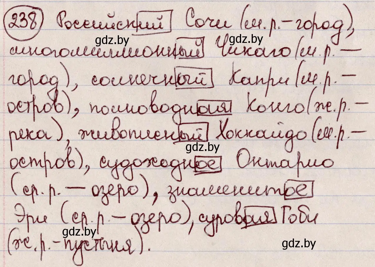 Решение номер 238 (страница 114) гдз по русскому языку 6 класс Мурина, Игнатович, учебник