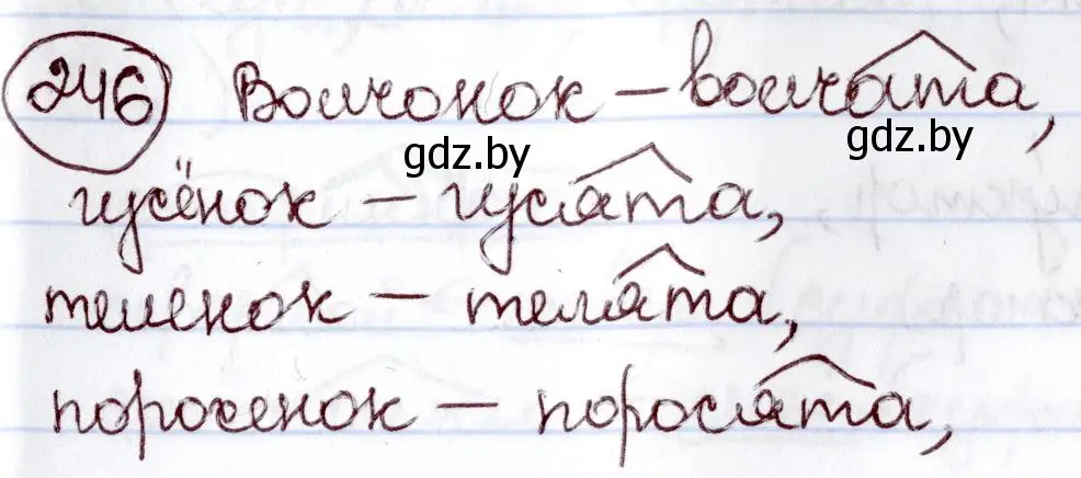 Решение номер 246 (страница 117) гдз по русскому языку 6 класс Мурина, Игнатович, учебник