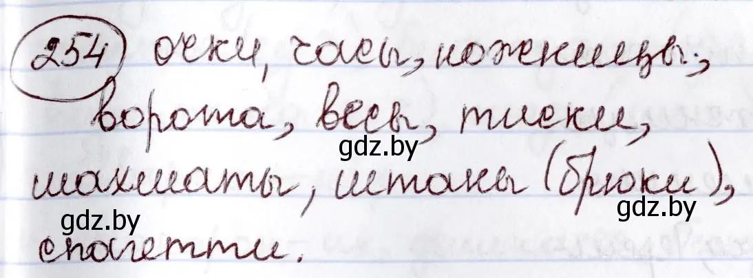 Решение номер 254 (страница 121) гдз по русскому языку 6 класс Мурина, Игнатович, учебник