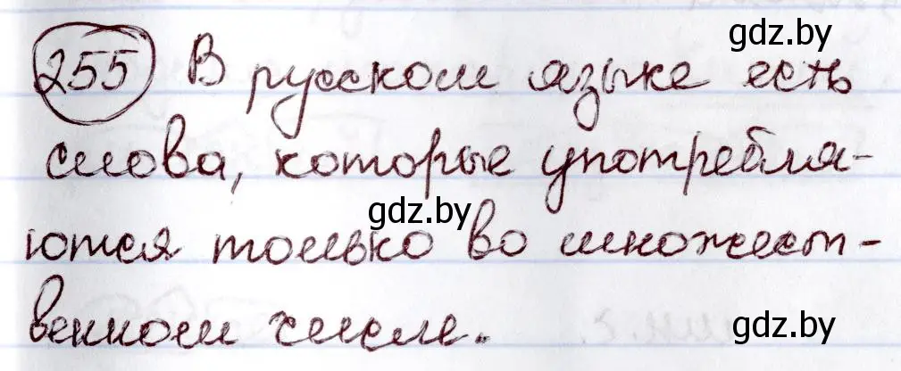 Решение номер 255 (страница 121) гдз по русскому языку 6 класс Мурина, Игнатович, учебник