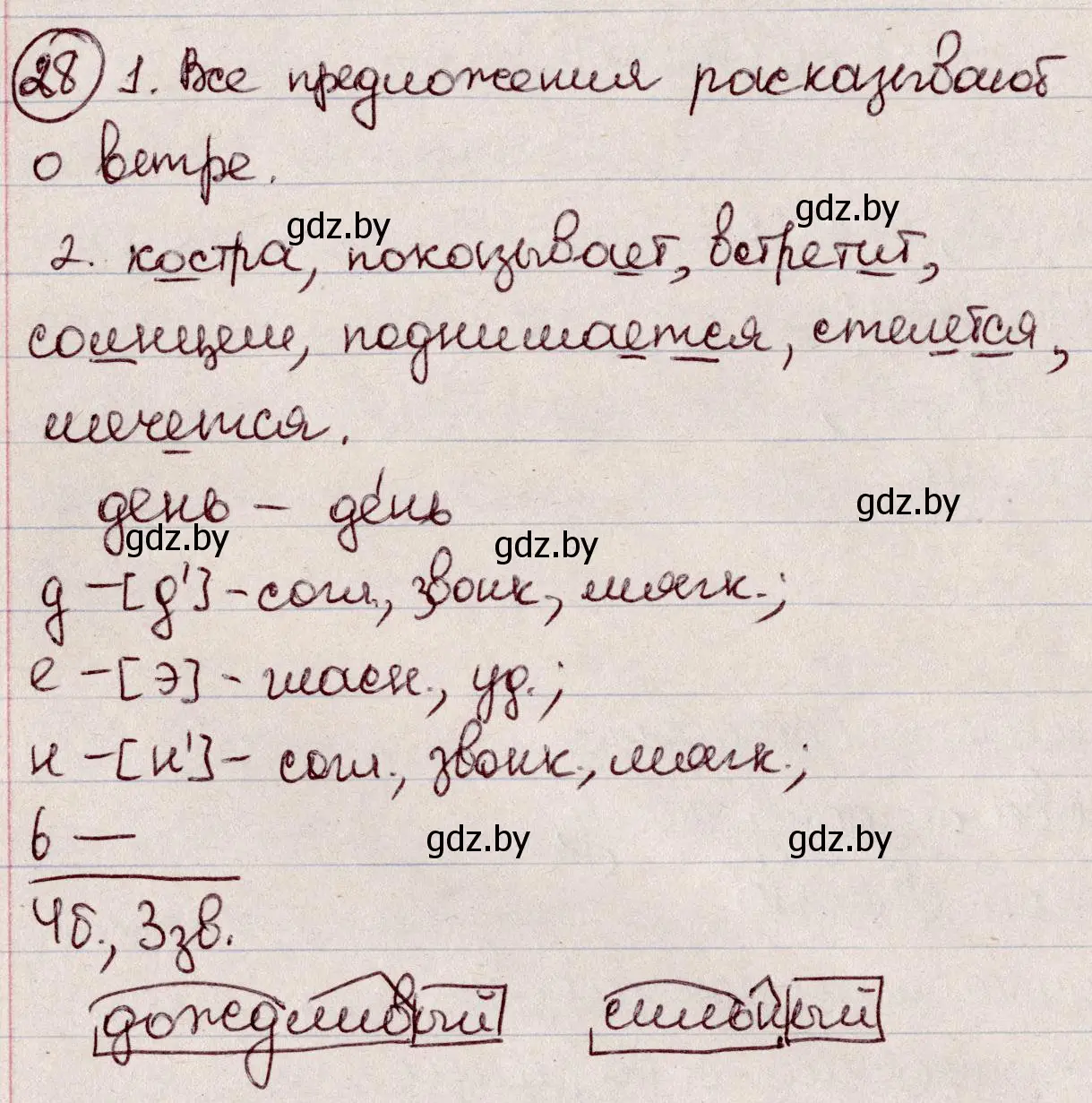 Решение номер 28 (страница 19) гдз по русскому языку 6 класс Мурина, Игнатович, учебник