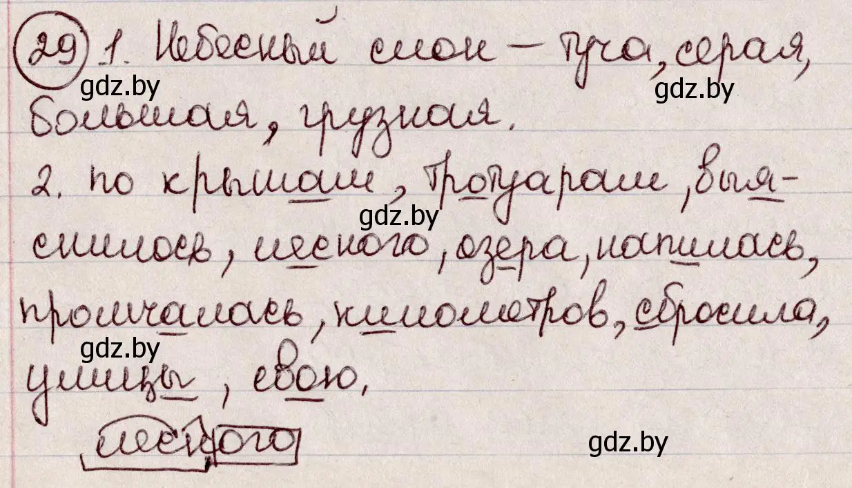 Решение номер 29 (страница 19) гдз по русскому языку 6 класс Мурина, Игнатович, учебник