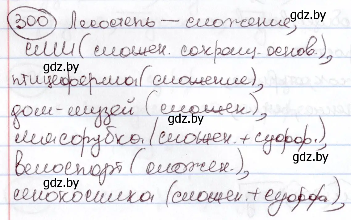 Решение номер 300 (страница 142) гдз по русскому языку 6 класс Мурина, Игнатович, учебник