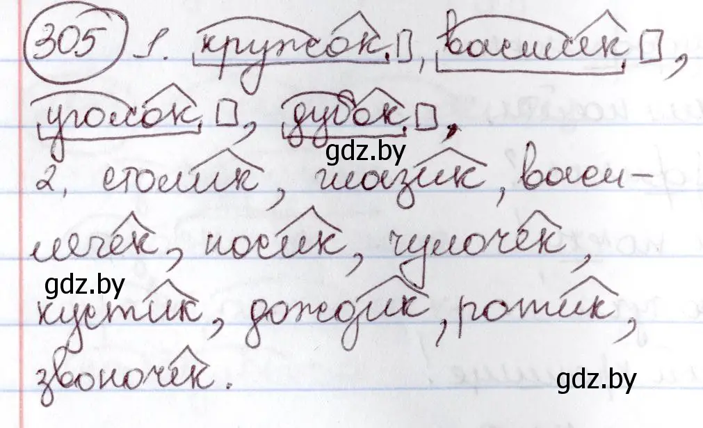 Решение номер 305 (страница 145) гдз по русскому языку 6 класс Мурина, Игнатович, учебник