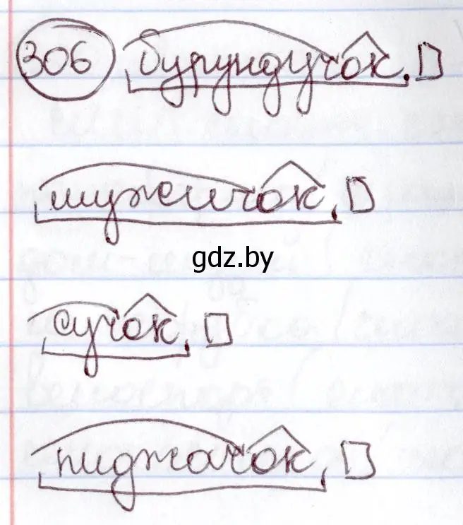 Решение номер 306 (страница 145) гдз по русскому языку 6 класс Мурина, Игнатович, учебник