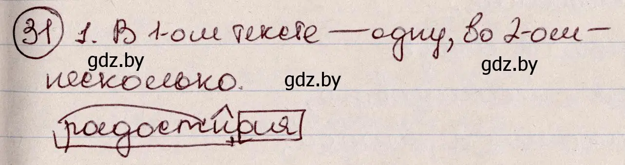 Решение номер 31 (страница 20) гдз по русскому языку 6 класс Мурина, Игнатович, учебник