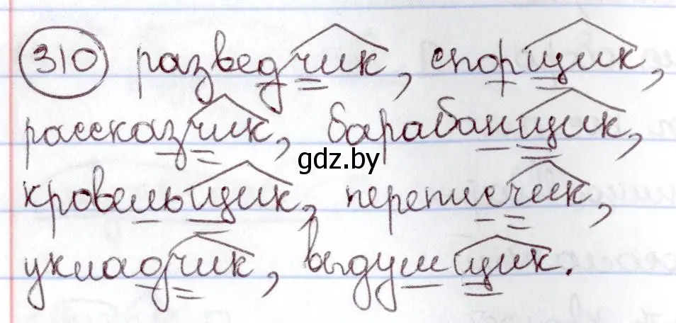 Решение номер 310 (страница 146) гдз по русскому языку 6 класс Мурина, Игнатович, учебник