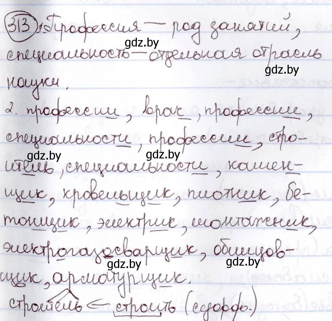 Решение номер 313 (страница 147) гдз по русскому языку 6 класс Мурина, Игнатович, учебник