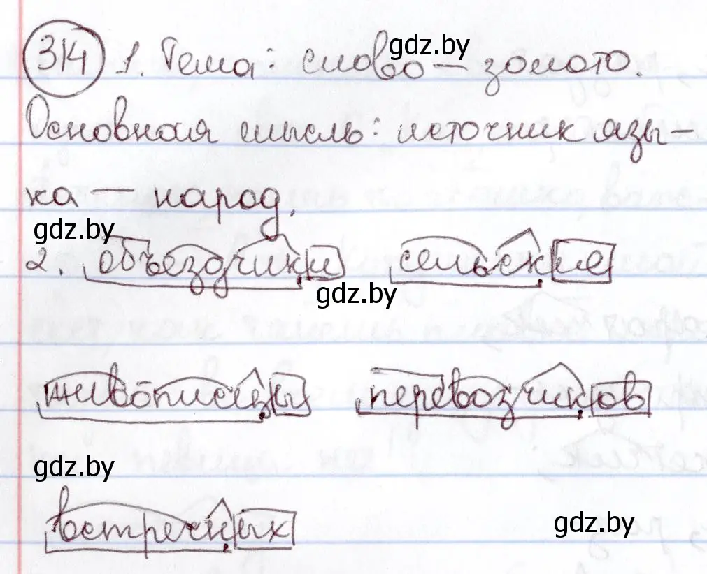 Решение номер 314 (страница 148) гдз по русскому языку 6 класс Мурина, Игнатович, учебник