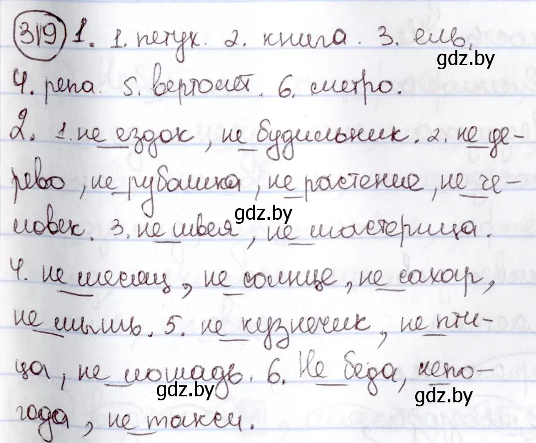 Решение номер 319 (страница 149) гдз по русскому языку 6 класс Мурина, Игнатович, учебник