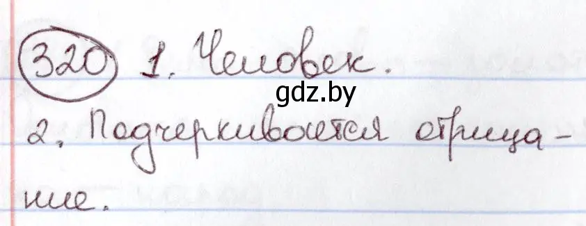 Решение номер 320 (страница 150) гдз по русскому языку 6 класс Мурина, Игнатович, учебник