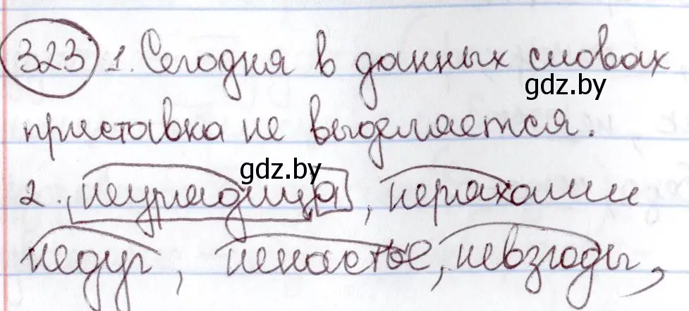 Решение номер 323 (страница 150) гдз по русскому языку 6 класс Мурина, Игнатович, учебник