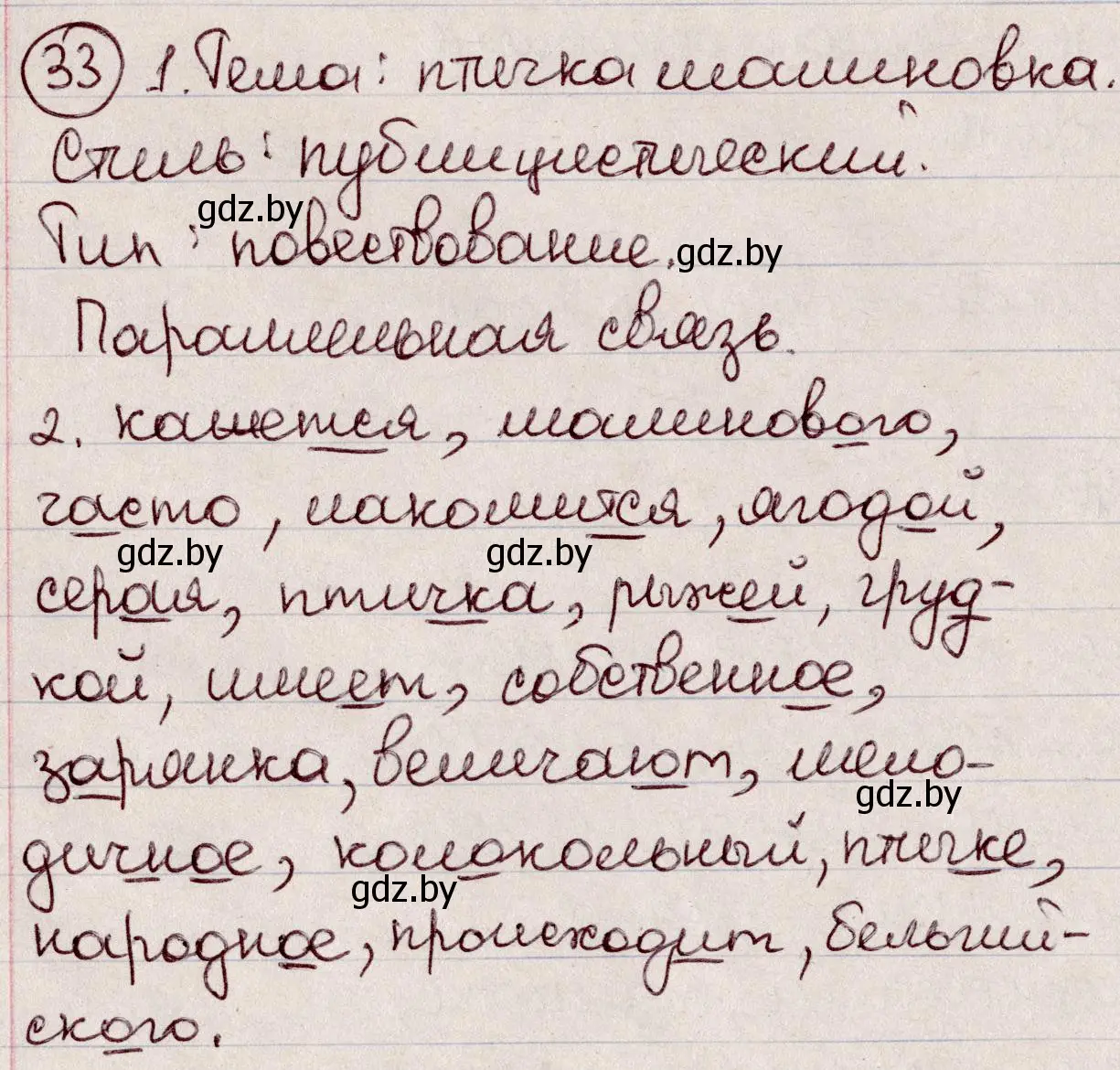Решение номер 33 (страница 22) гдз по русскому языку 6 класс Мурина, Игнатович, учебник