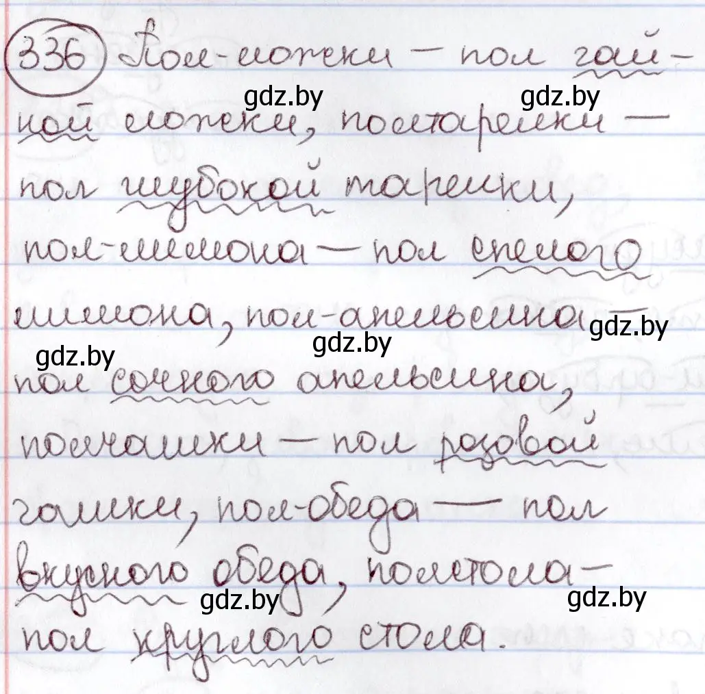 Решение номер 336 (страница 155) гдз по русскому языку 6 класс Мурина, Игнатович, учебник