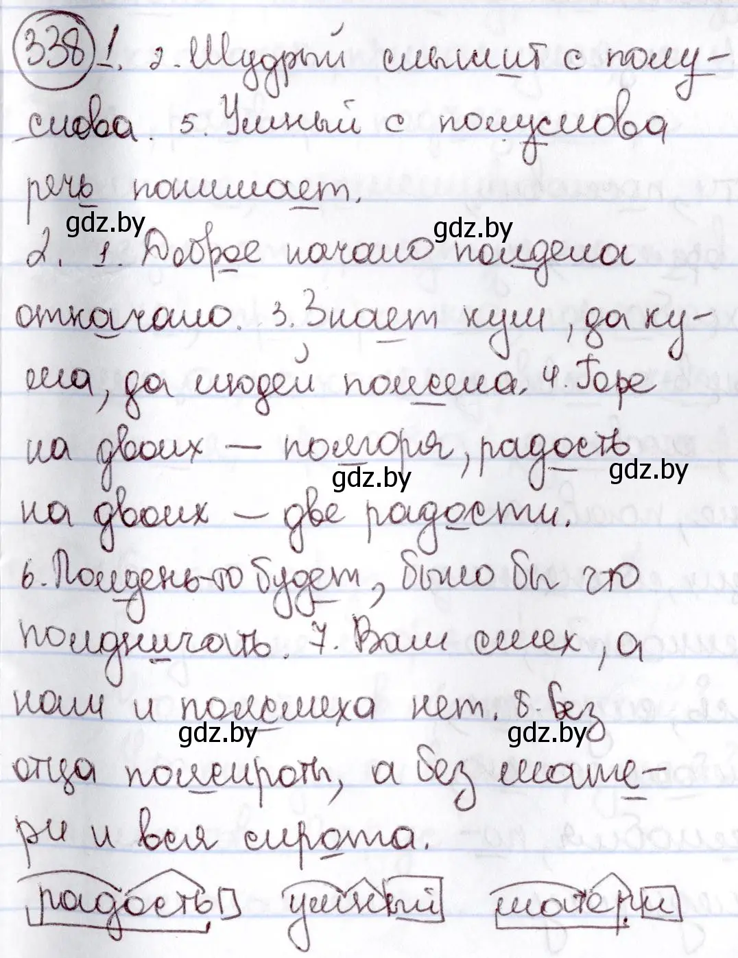 Решение номер 338 (страница 156) гдз по русскому языку 6 класс Мурина, Игнатович, учебник