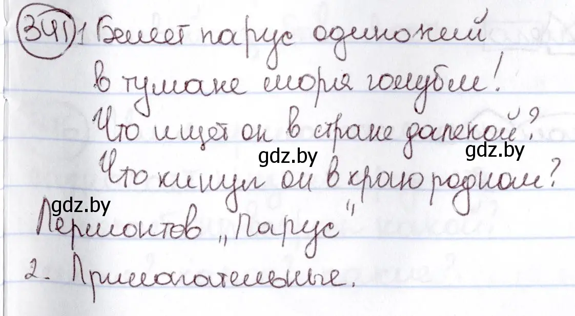 Решение номер 341 (страница 158) гдз по русскому языку 6 класс Мурина, Игнатович, учебник