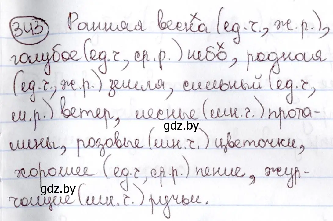 Решение номер 343 (страница 159) гдз по русскому языку 6 класс Мурина, Игнатович, учебник