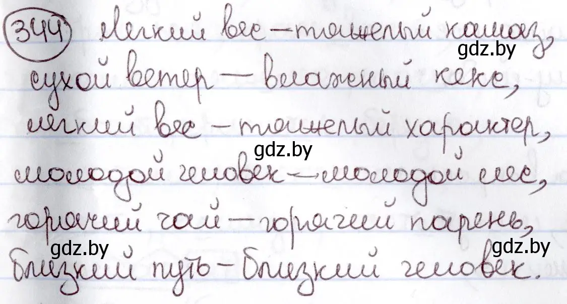 Решение номер 344 (страница 159) гдз по русскому языку 6 класс Мурина, Игнатович, учебник