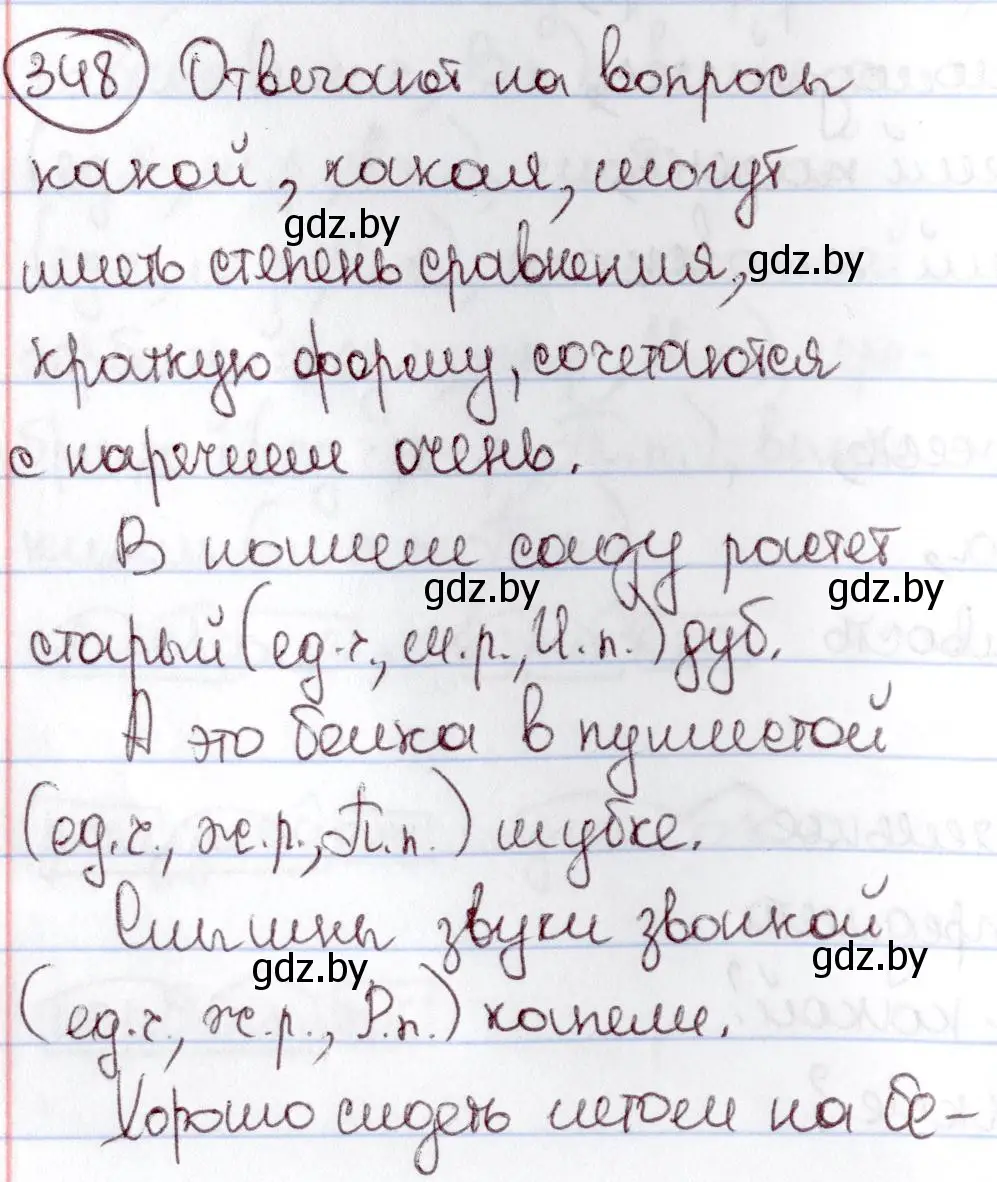 Решение номер 348 (страница 161) гдз по русскому языку 6 класс Мурина, Игнатович, учебник