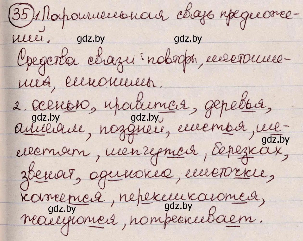 Решение номер 35 (страница 23) гдз по русскому языку 6 класс Мурина, Игнатович, учебник