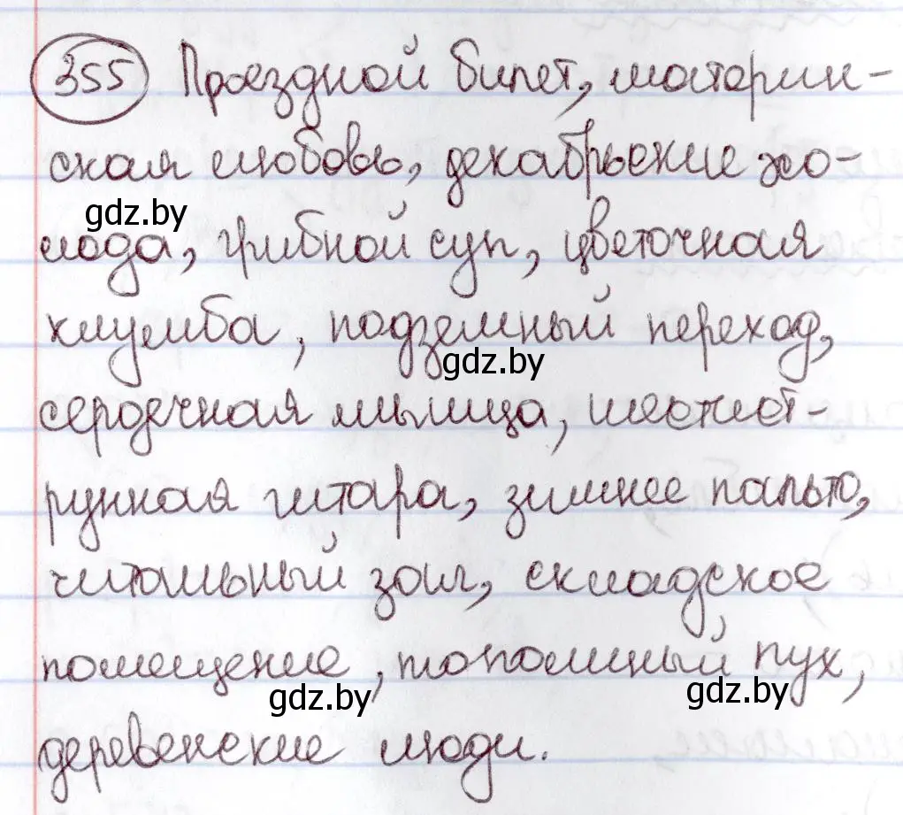 Решение номер 355 (страница 163) гдз по русскому языку 6 класс Мурина, Игнатович, учебник