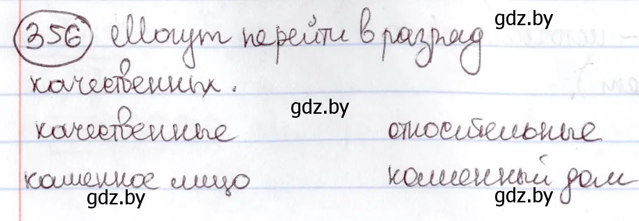 Решение номер 356 (страница 163) гдз по русскому языку 6 класс Мурина, Игнатович, учебник