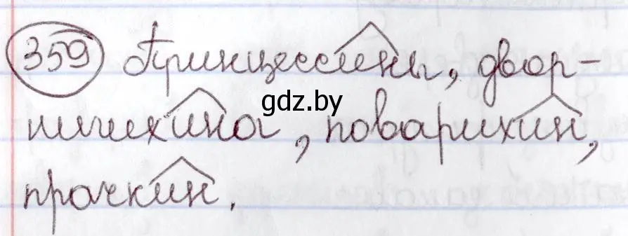 Решение номер 359 (страница 165) гдз по русскому языку 6 класс Мурина, Игнатович, учебник