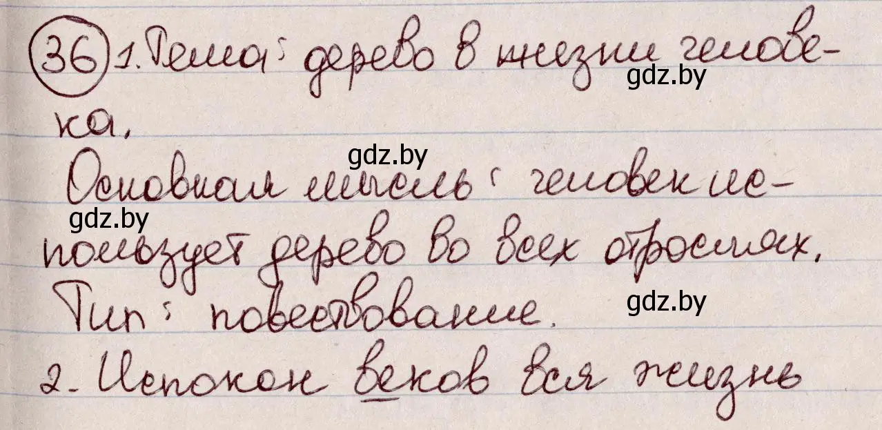 Решение номер 36 (страница 24) гдз по русскому языку 6 класс Мурина, Игнатович, учебник