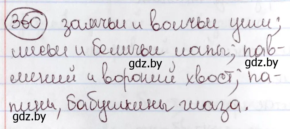 Решение номер 360 (страница 165) гдз по русскому языку 6 класс Мурина, Игнатович, учебник