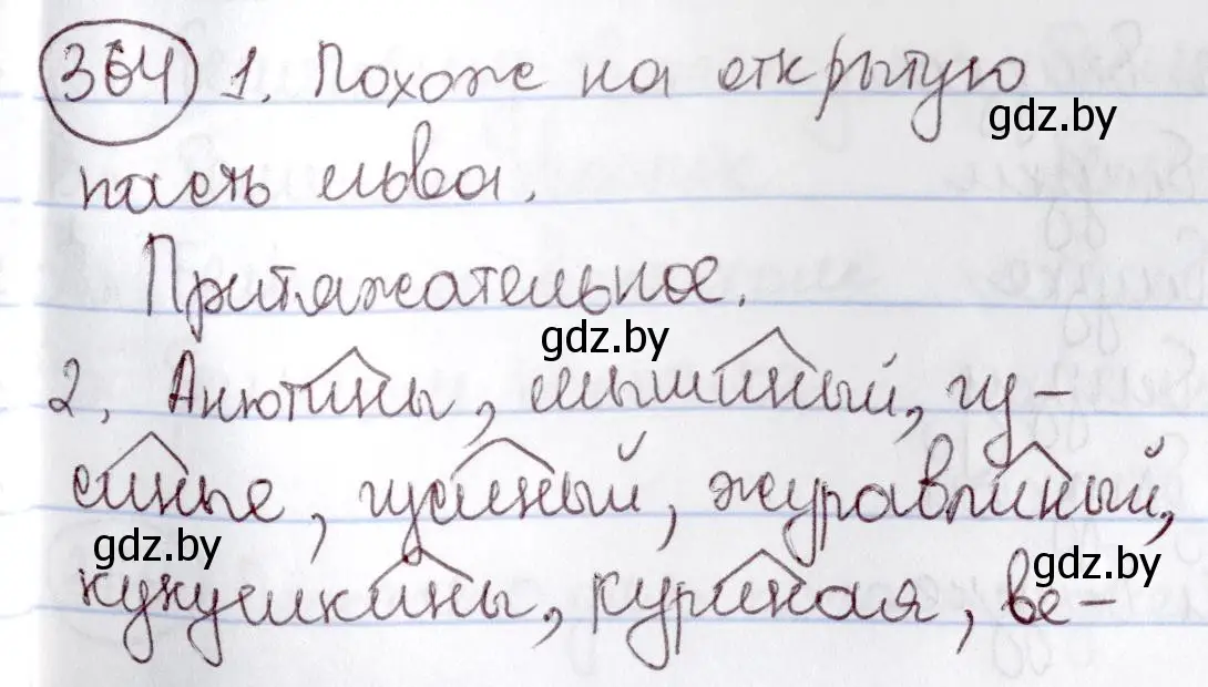 Решение номер 364 (страница 166) гдз по русскому языку 6 класс Мурина, Игнатович, учебник