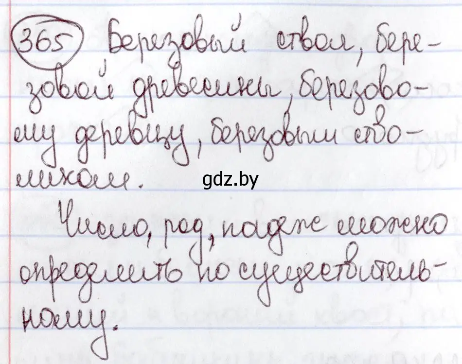 Решение номер 365 (страница 167) гдз по русскому языку 6 класс Мурина, Игнатович, учебник