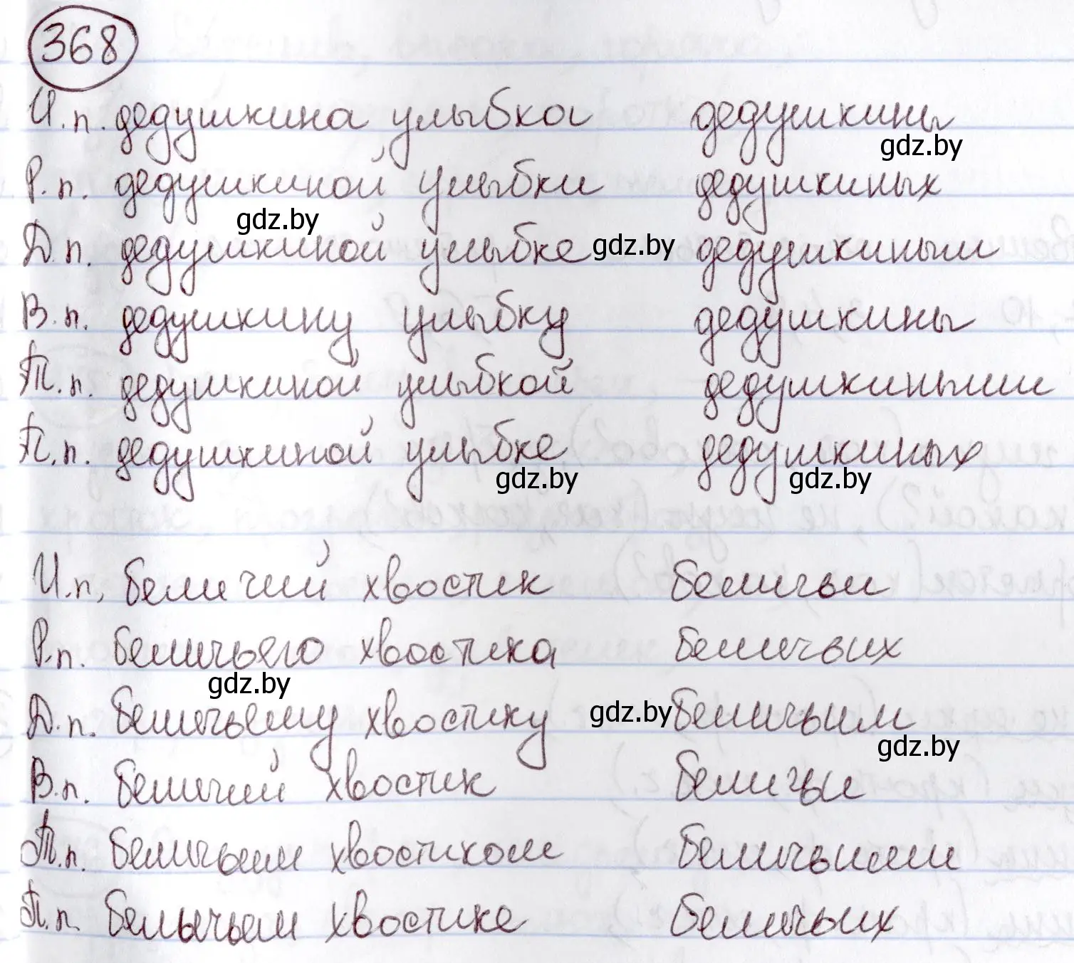 Решение номер 368 (страница 168) гдз по русскому языку 6 класс Мурина, Игнатович, учебник