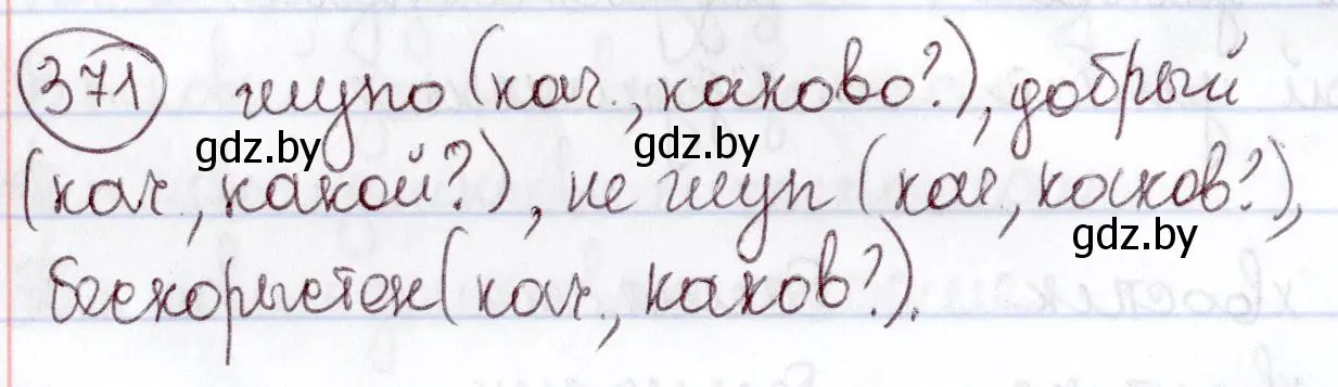 Решение номер 371 (страница 169) гдз по русскому языку 6 класс Мурина, Игнатович, учебник