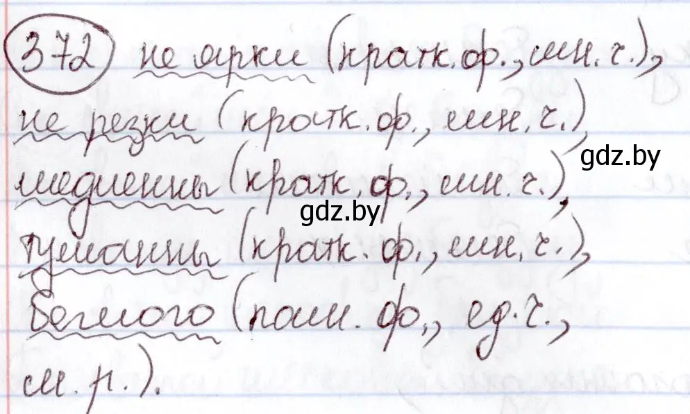 Решение номер 372 (страница 170) гдз по русскому языку 6 класс Мурина, Игнатович, учебник