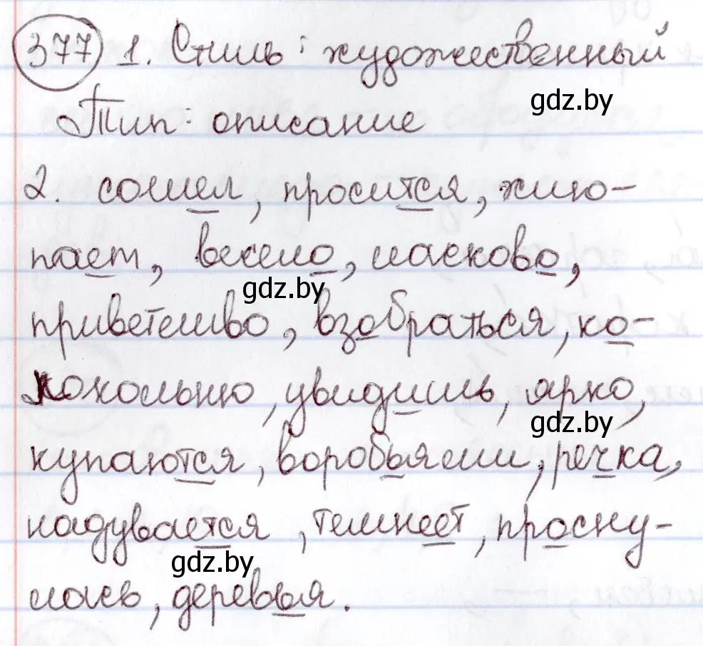 Решение номер 377 (страница 171) гдз по русскому языку 6 класс Мурина, Игнатович, учебник