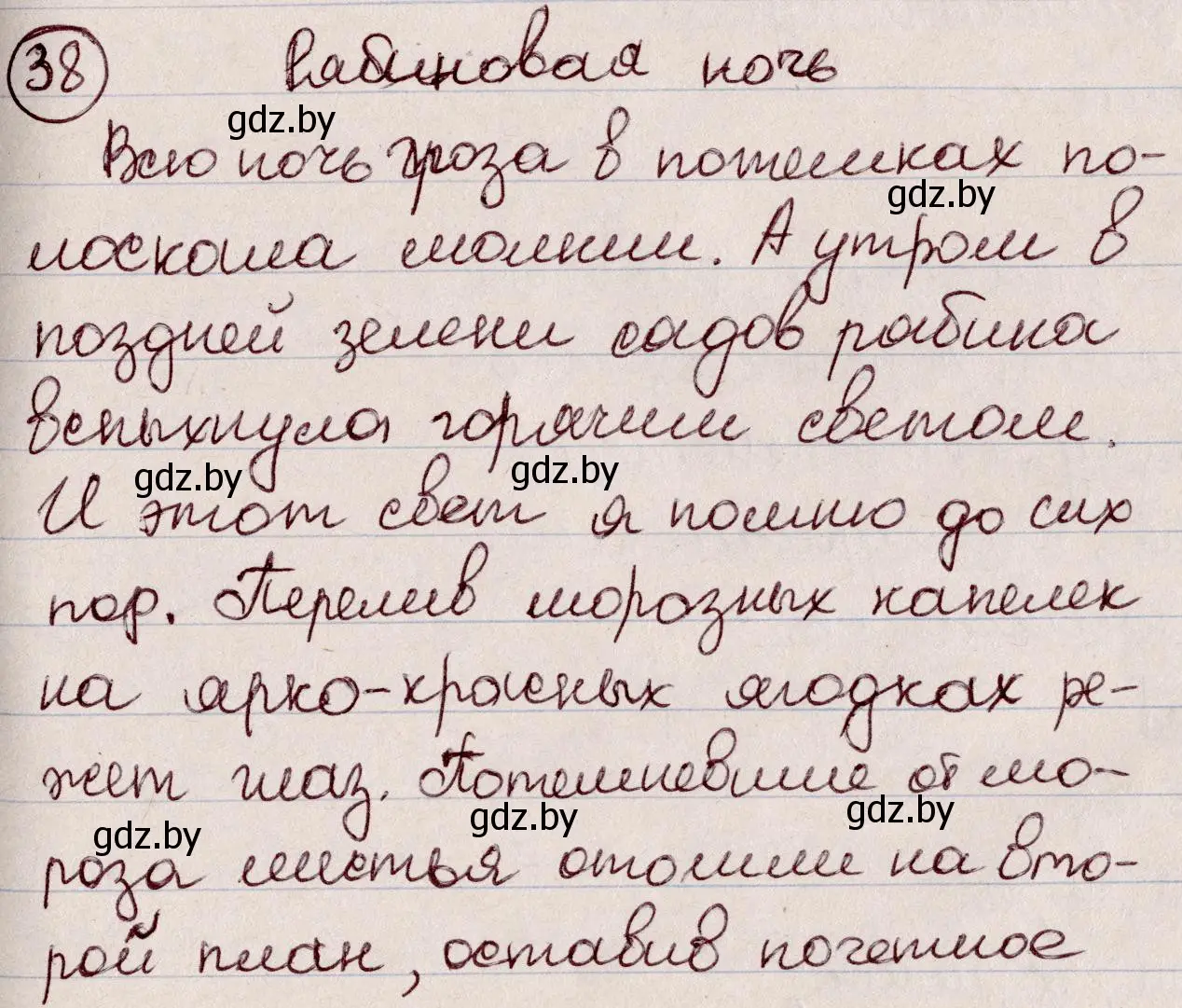 Решение номер 38 (страница 25) гдз по русскому языку 6 класс Мурина, Игнатович, учебник