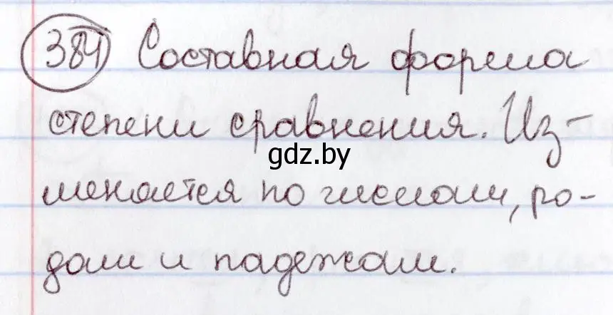 Решение номер 384 (страница 174) гдз по русскому языку 6 класс Мурина, Игнатович, учебник