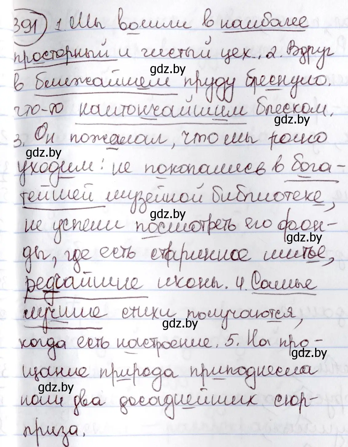 Решение номер 391 (страница 176) гдз по русскому языку 6 класс Мурина, Игнатович, учебник