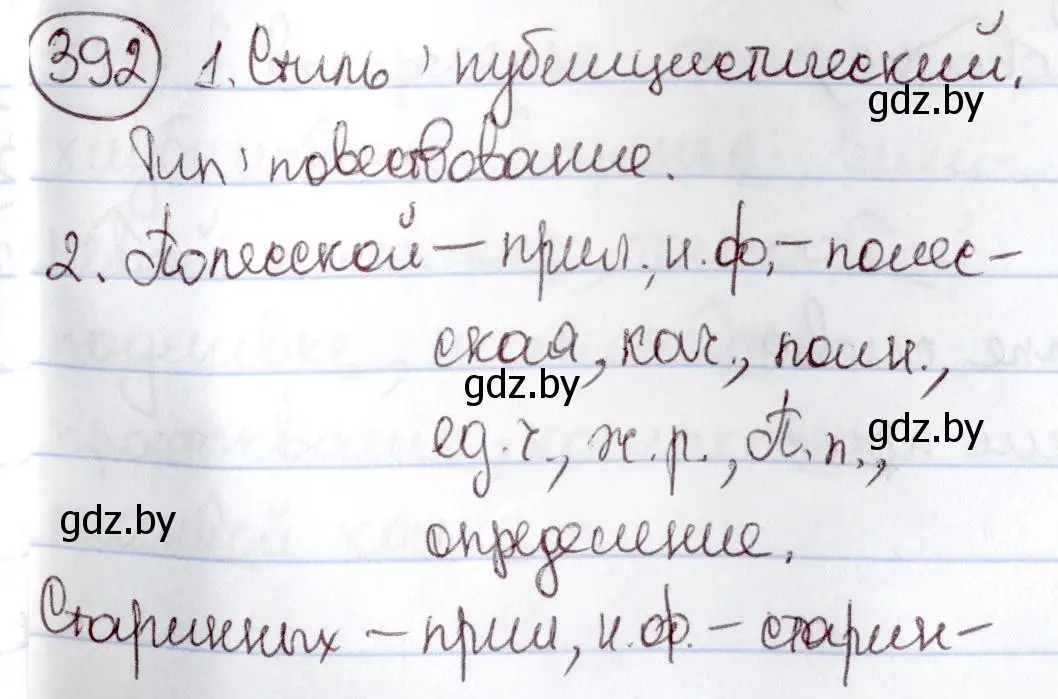 Решение номер 392 (страница 178) гдз по русскому языку 6 класс Мурина, Игнатович, учебник