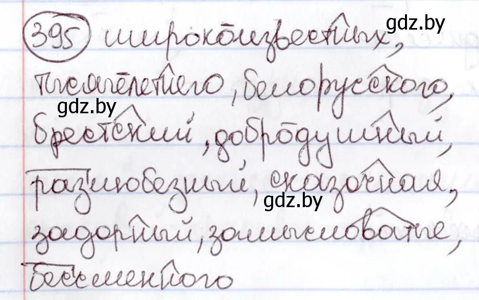 Решение номер 395 (страница 178) гдз по русскому языку 6 класс Мурина, Игнатович, учебник