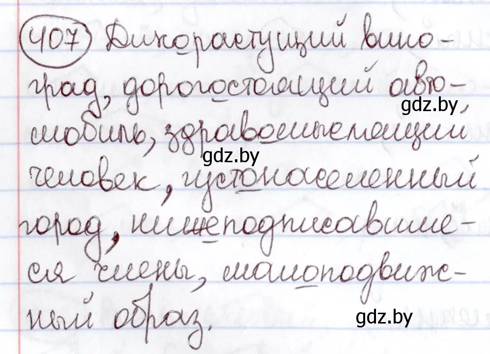 Решение номер 407 (страница 183) гдз по русскому языку 6 класс Мурина, Игнатович, учебник