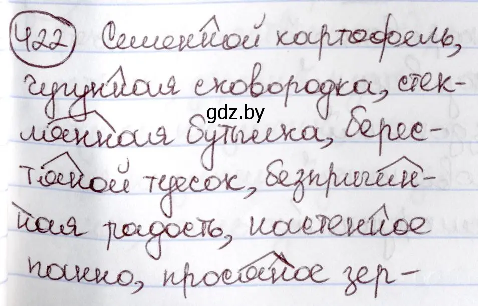 Решение номер 422 (страница 189) гдз по русскому языку 6 класс Мурина, Игнатович, учебник