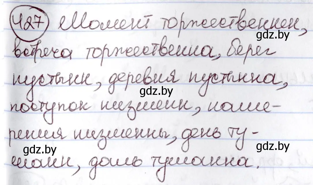 Решение номер 427 (страница 190) гдз по русскому языку 6 класс Мурина, Игнатович, учебник