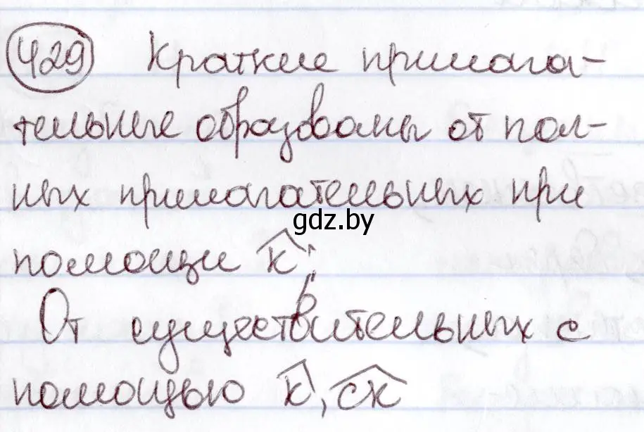 Решение номер 429 (страница 191) гдз по русскому языку 6 класс Мурина, Игнатович, учебник