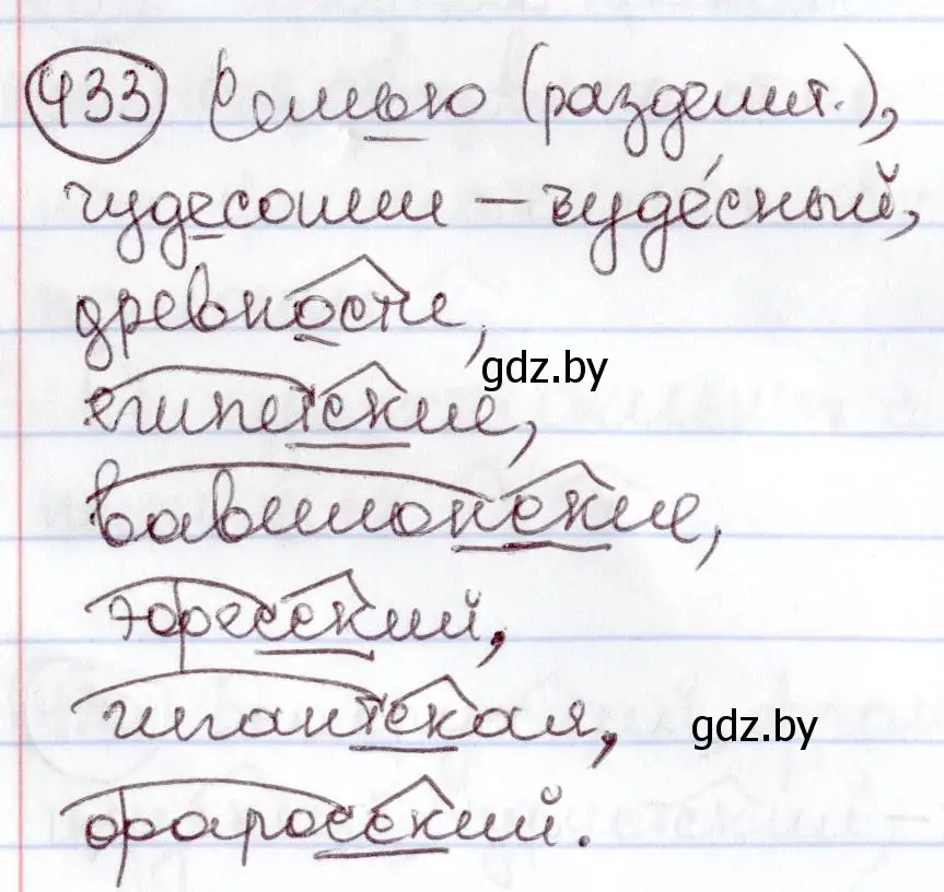 Решение номер 433 (страница 192) гдз по русскому языку 6 класс Мурина, Игнатович, учебник