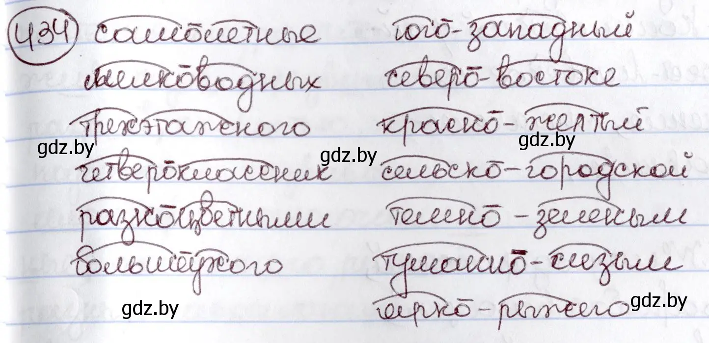 Решение номер 434 (страница 193) гдз по русскому языку 6 класс Мурина, Игнатович, учебник