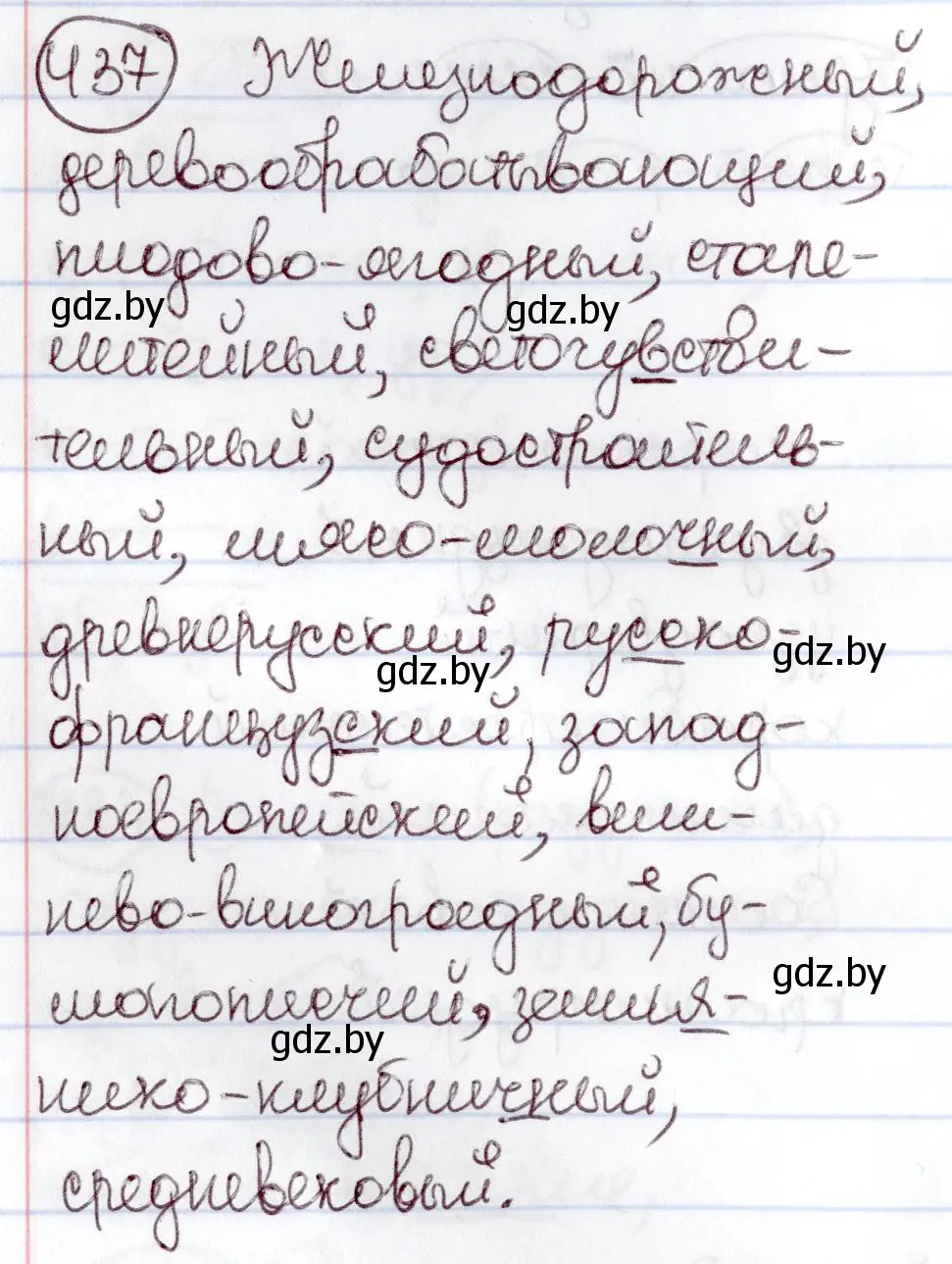 Решение номер 437 (страница 195) гдз по русскому языку 6 класс Мурина, Игнатович, учебник