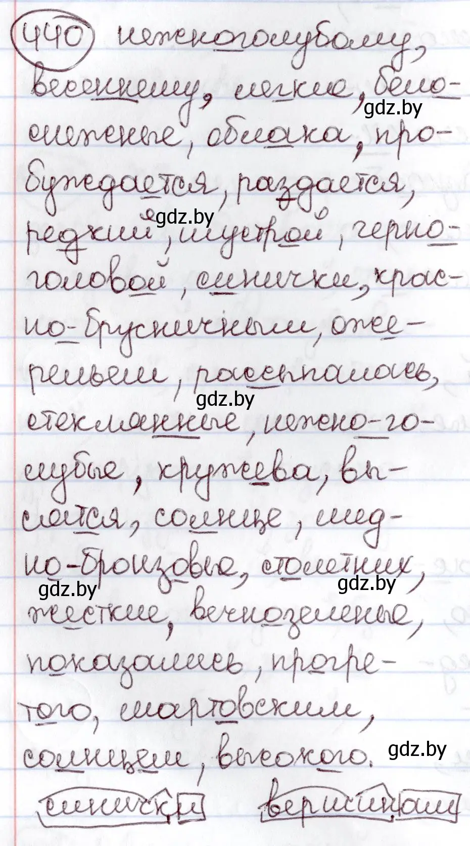 Решение номер 440 (страница 196) гдз по русскому языку 6 класс Мурина, Игнатович, учебник